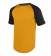Gold/Black